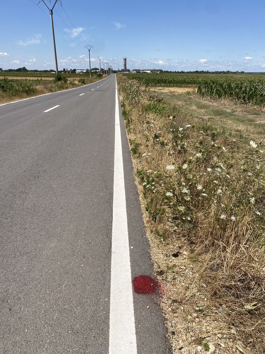 Teren agricol 15000 mp front la asfalt DJ 611, Fierbinți - Dâmbovița