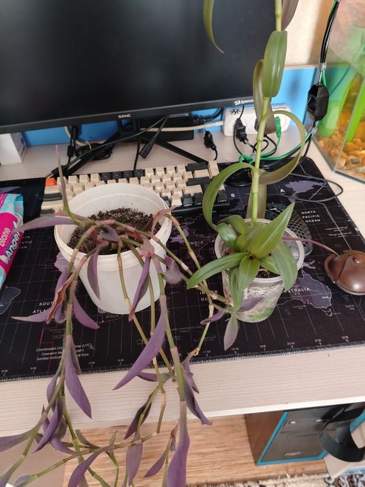 Продам за 1000тг