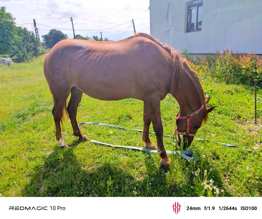 Cal pentru m-ai multe detalii sunaci!!!