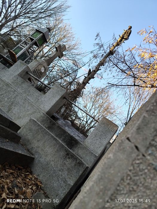 Tăiere copaci 24/7 alpinist utilitar bucurești si zonele limitrofe