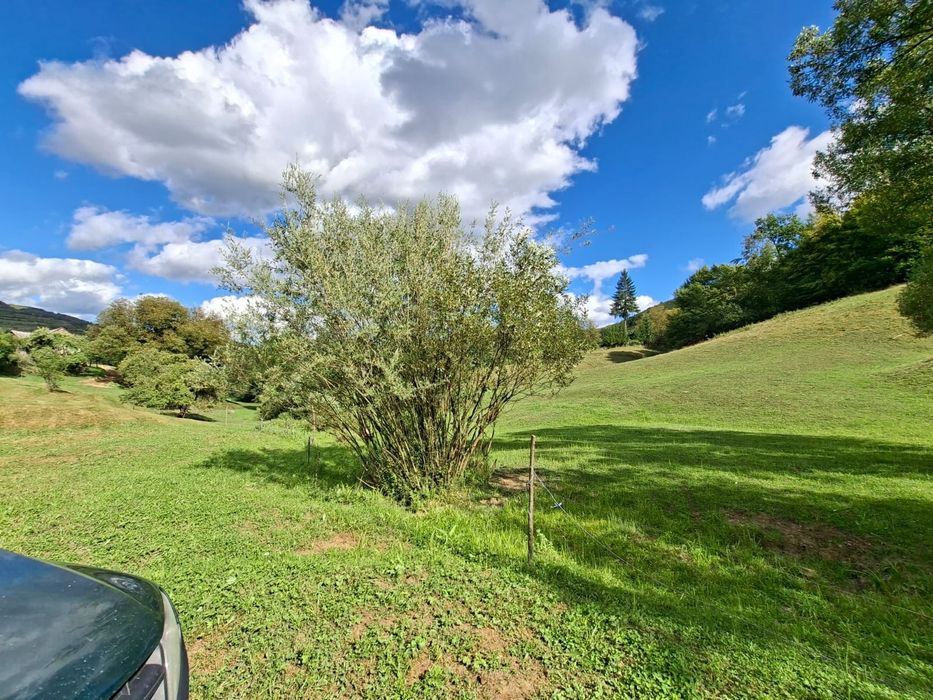 Teren intravilan+extravilan Podirei Bistrita