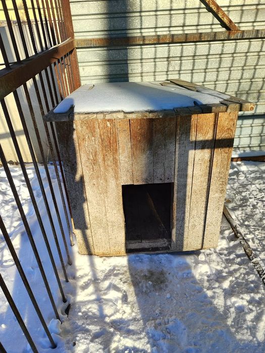 Вольер для собаки