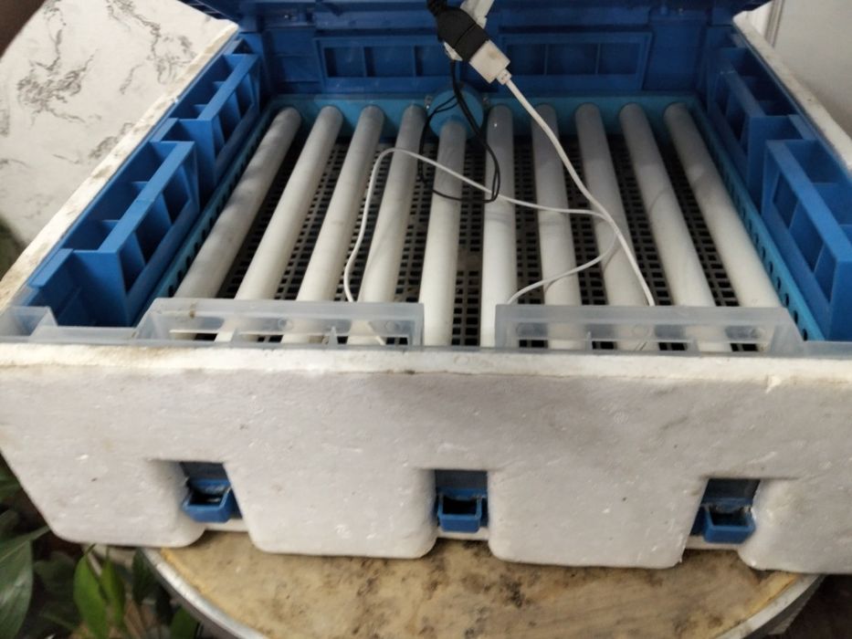 Инкубатор 64 жұмыртқа