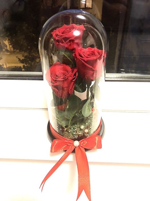 3 criogenati in cupola de sticla inaltime 25 cm pret 250 lei