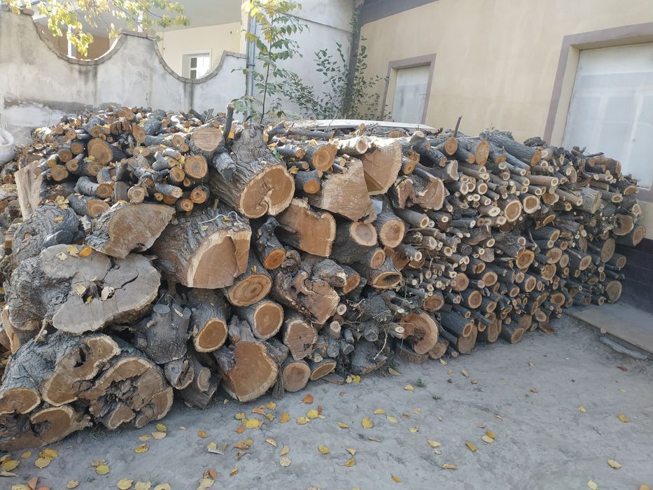 Sauna, kamin, xammom, tapchan un mahsus oʼrik yongʻoq tut oʼtinlar bor