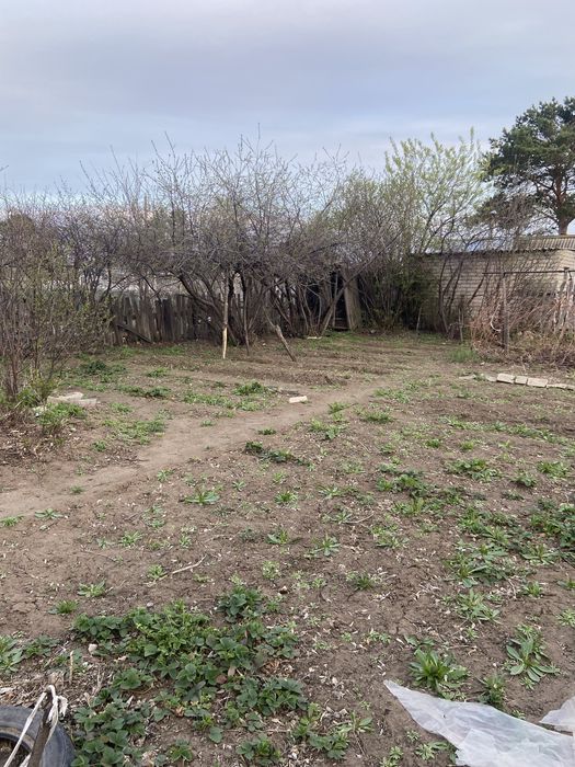 Продам дачу сад Здоровье