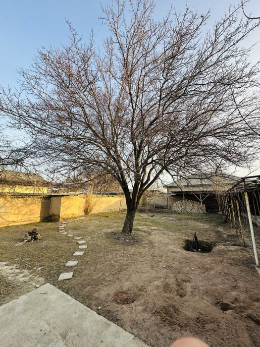 Нурафшон Бургалида 6 сотихли дача сотилади