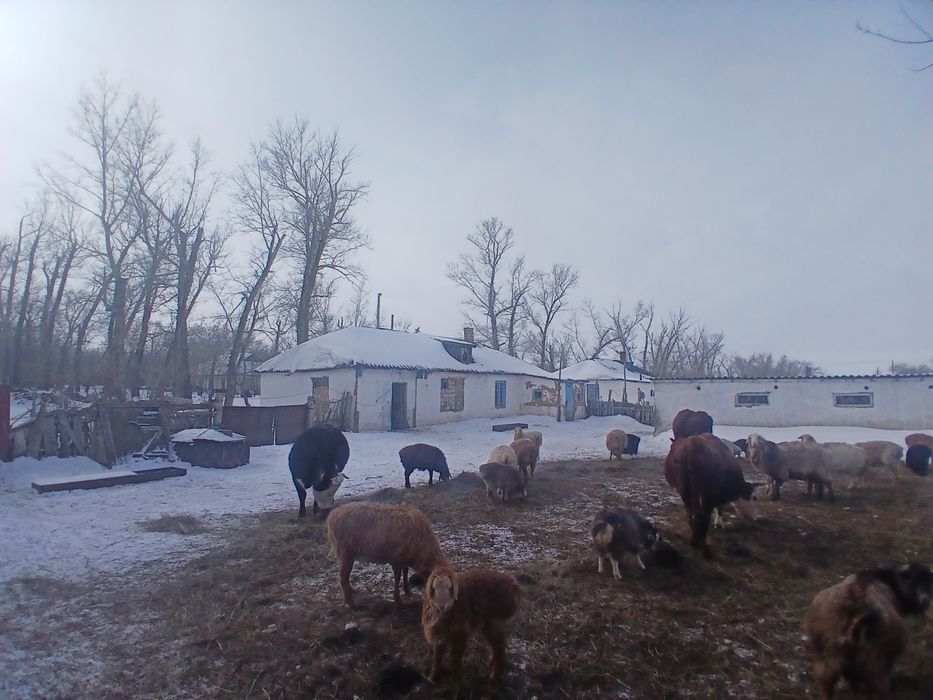 Шет ау. Акой ауылы. Уй сатылады