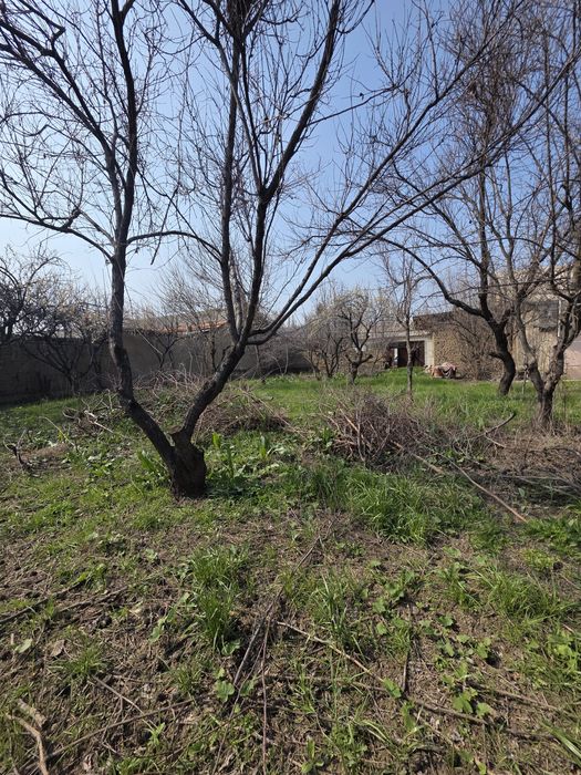 Кибрай тумани Қипчоқ маҳалласида 7 сотихли ер участкаси сотилади.