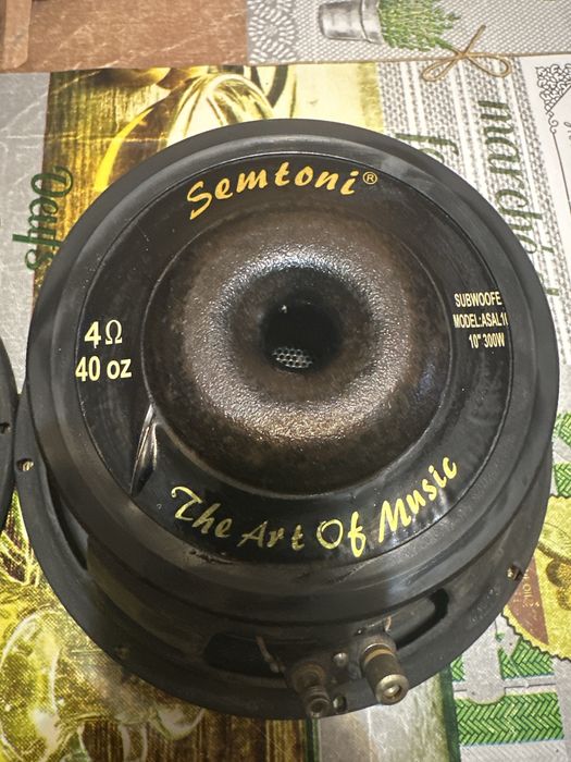 Difuzoare de subwoofer Model Asal 1010”300W