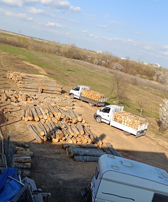 Lemn de foc Giurgiu-ilfov-bucuresti +50 km