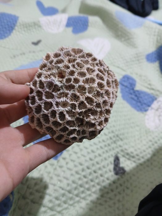 Продам декораций для аквариума