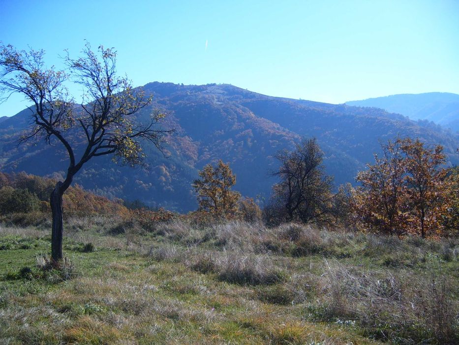 Поземлен имот - с. Орешак, панорамна гледка