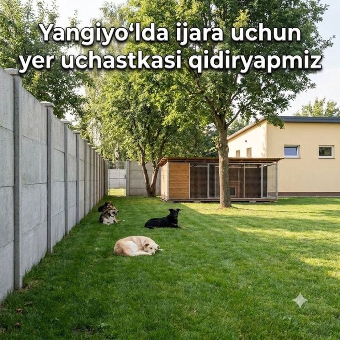 Ищем участок в аренду Янгиюль