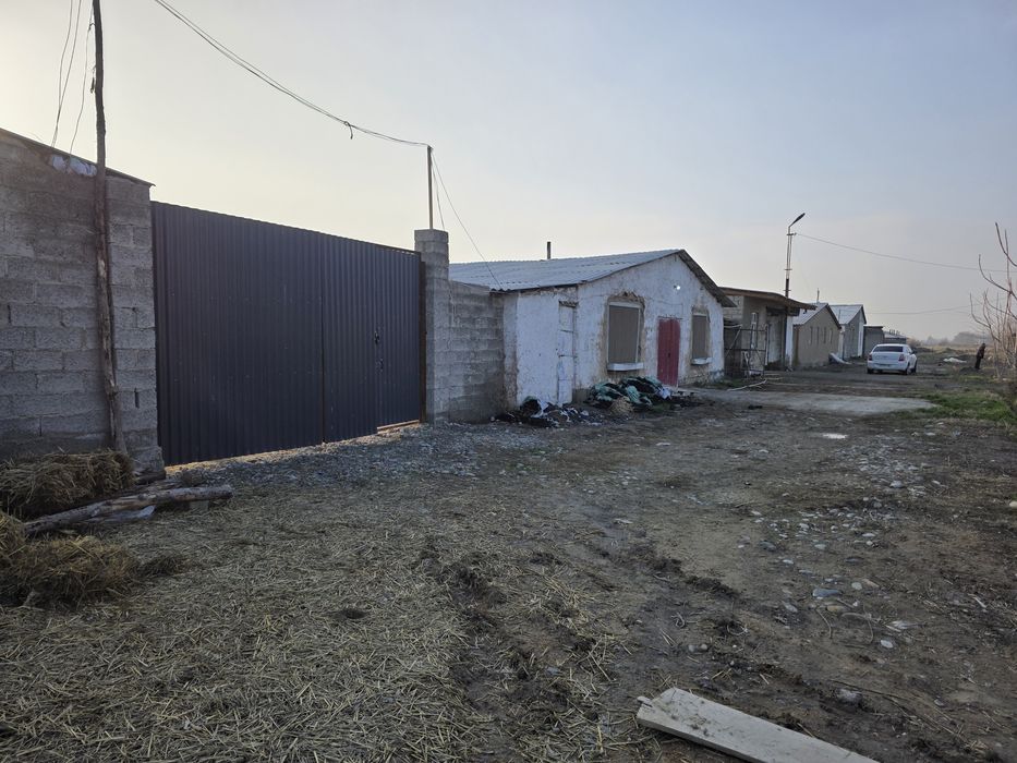 Карамол учун ферма   товук ферма  фабрика