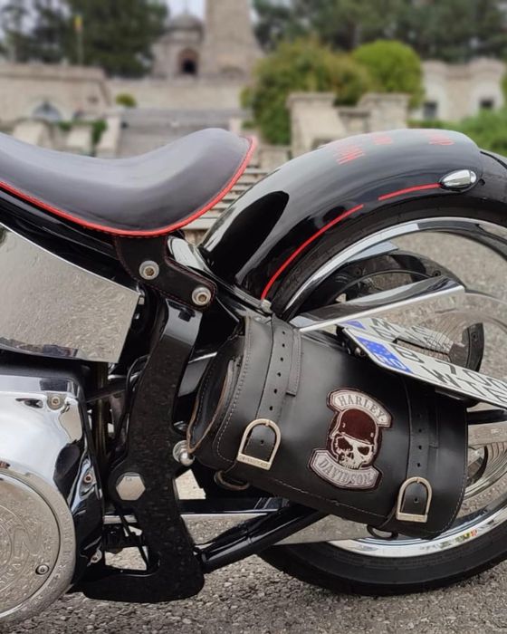 Titan RoadRunner (Harley Davidson Softail)