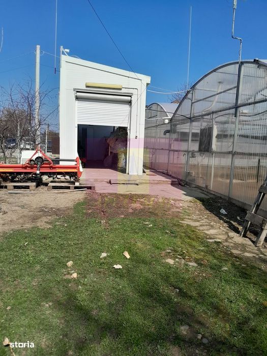 Ialomita - Se Vinde Teren 3100 Mp - Sat Rosiori
