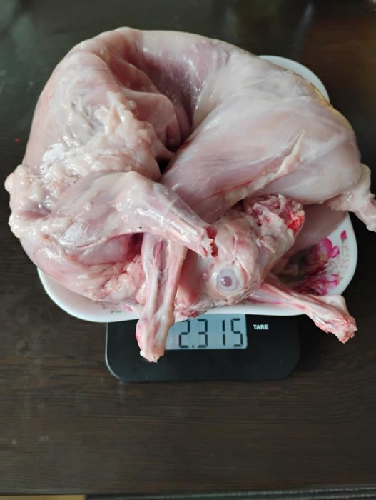 Прясно заешко месо