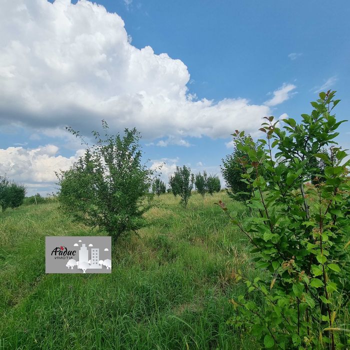 Продава се Земеделски имот в с. Ковач, Област Стара Загора -  кв.м за 2484 €/дка - Снимка #4