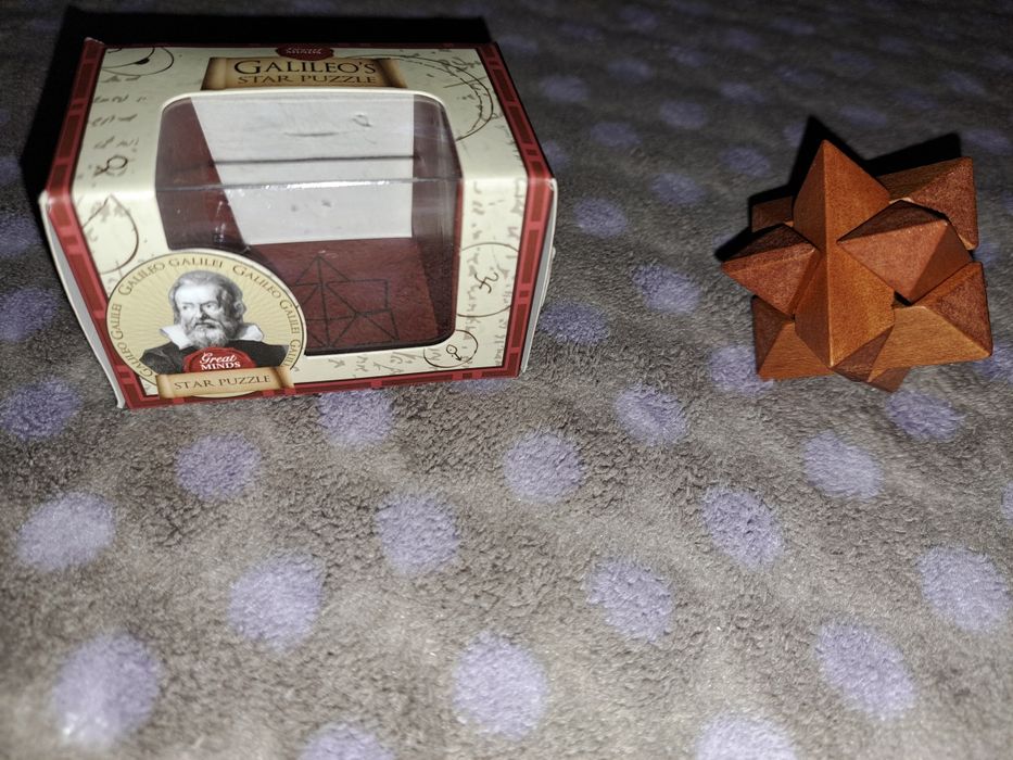 Logic Puzzle Great Minds