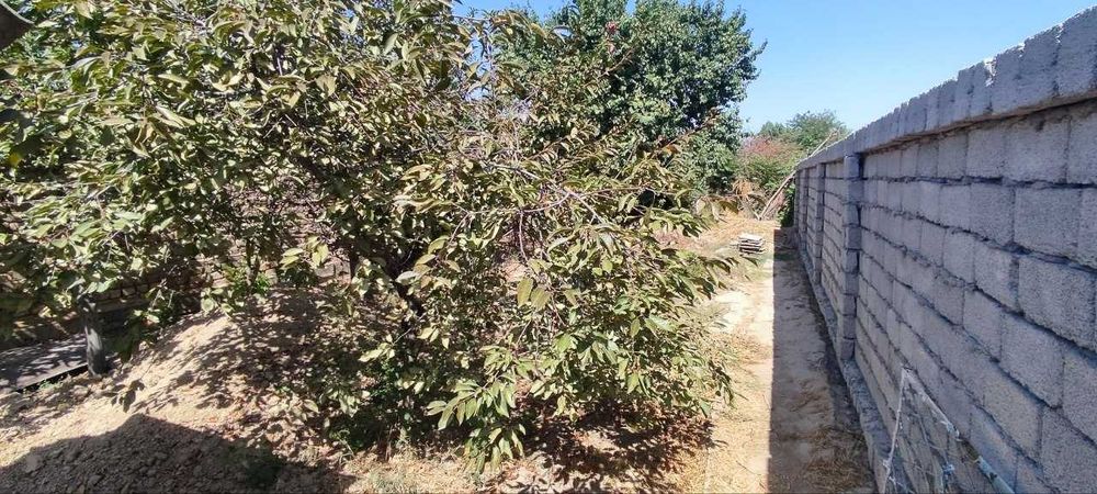 Дом с участком в аренду
