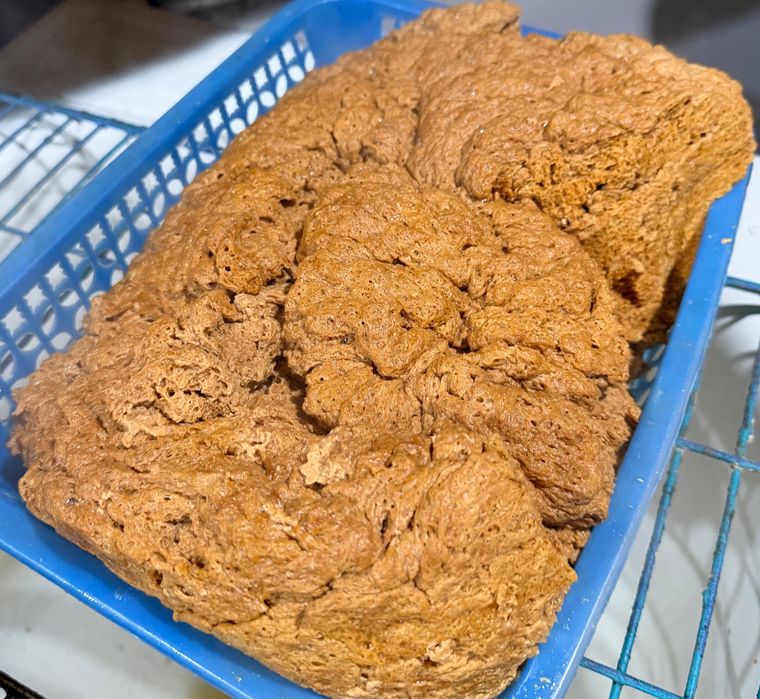 Табиғи ауыл ірімшігі оптом! Ірімшік!!!