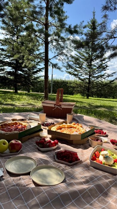 Набор для пикника