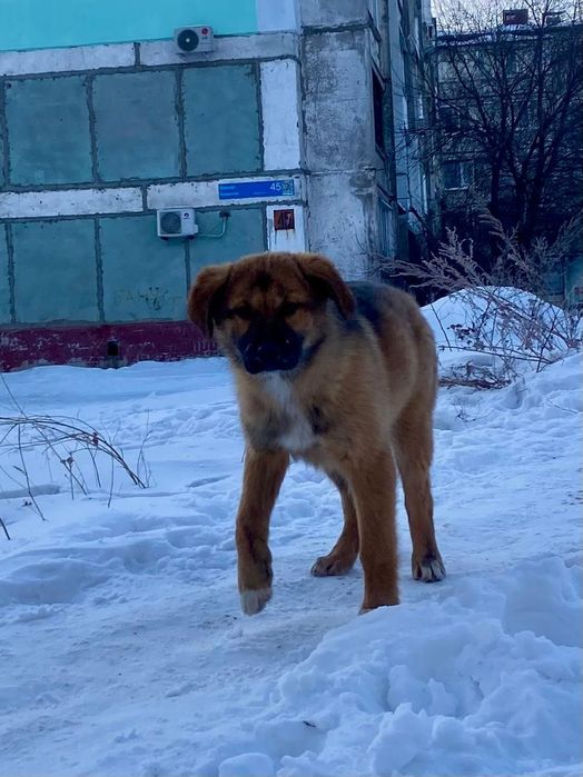 Дружные, весёлые, неразлучные.