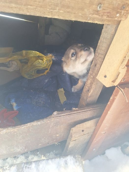 Пристраиваеться малышь!