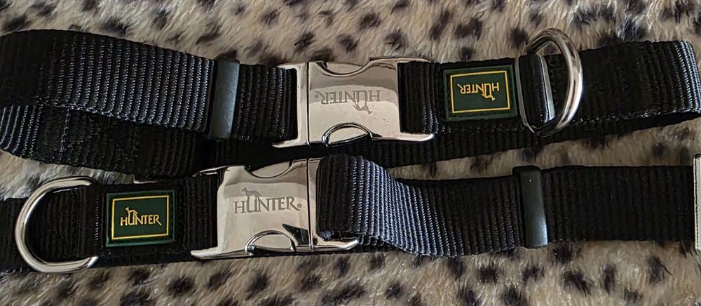 Zgarzi (2) caine Hunter