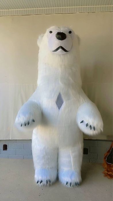 Kotta Ayiqlar sotilad