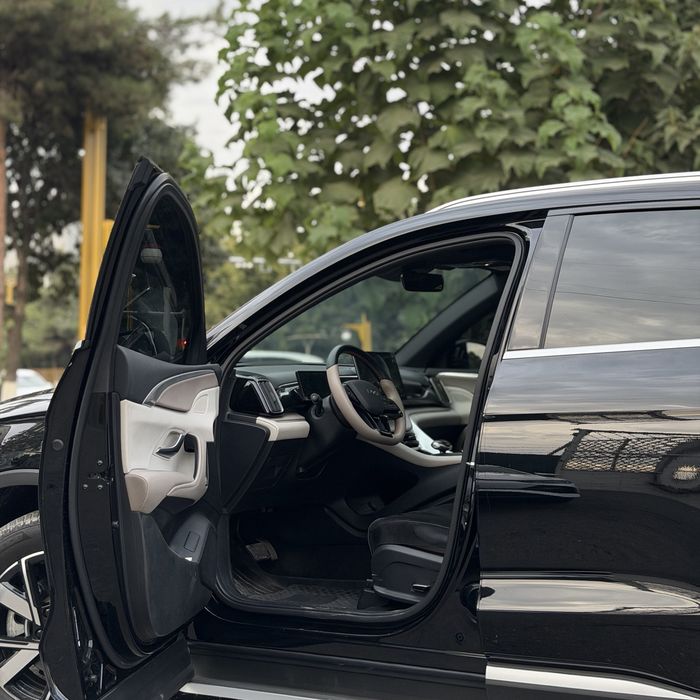 Byd song pro gibrid