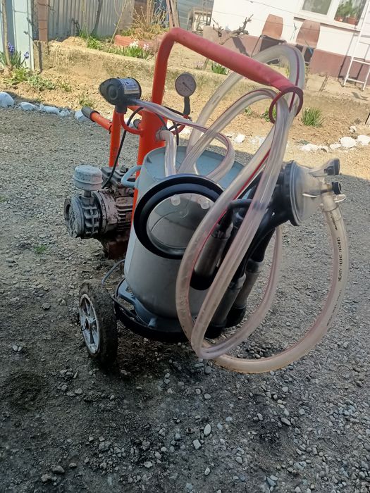 Mulgatoare vaci folosit