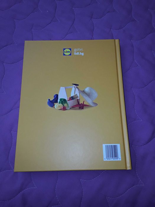 Книга на Манчев и Шишков