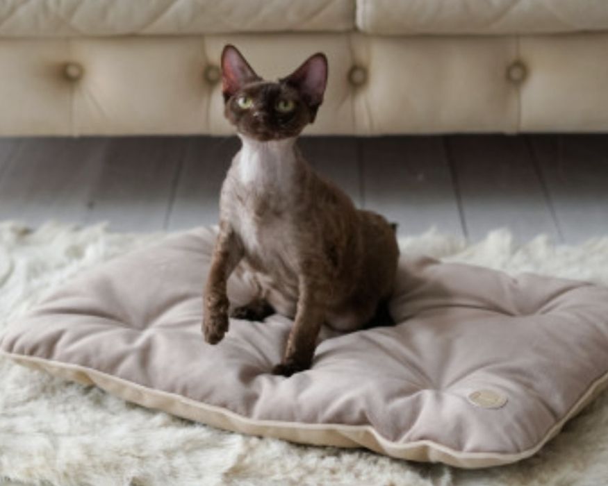 Матрасик сидушка на стул