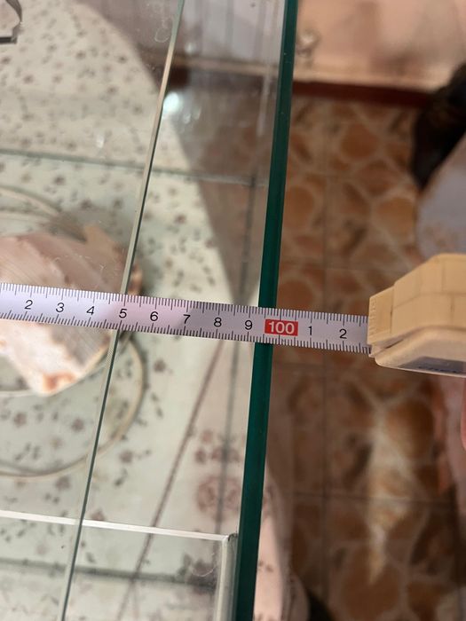 Аквариум для животных