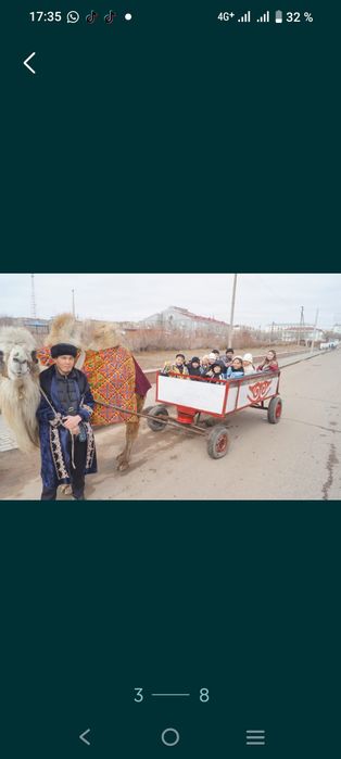 Катаем детей на верблюде