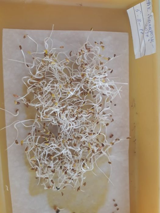 Доставка есть по городу