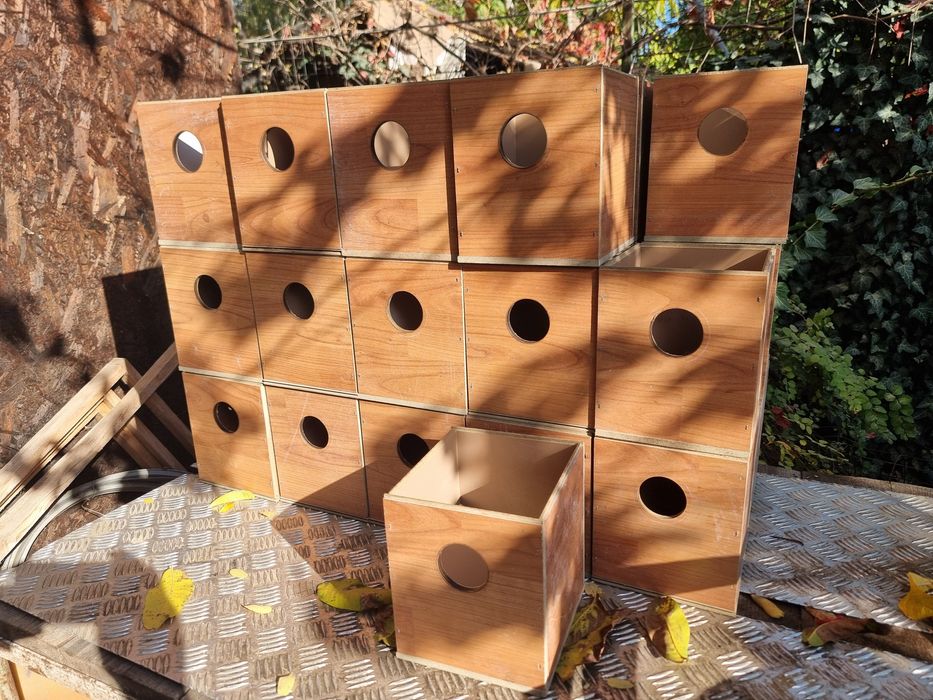 Cuiburi pentru pasari de colivie