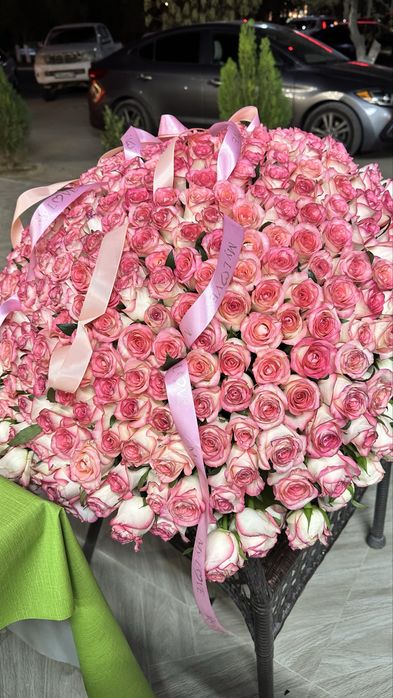301 роза свежыее