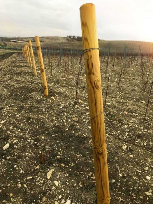 Оцилиндрованные колья для подвязки деревьев