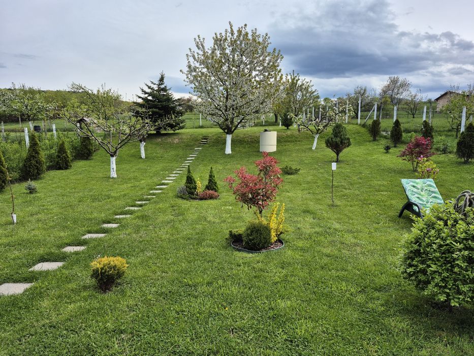 Casă Răsinari teren 990 m