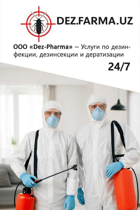 Dezinfeksiya Dizinfeksiya klapa Dizenfeksiya tarakan ilon chayon klopa