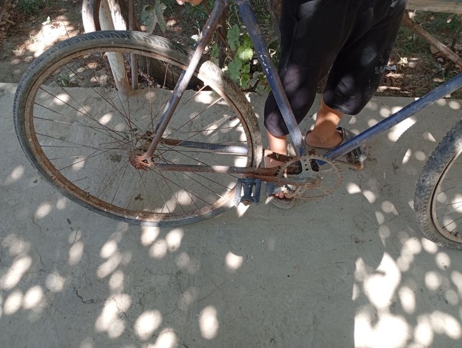 velosifed tortishi yaxshi