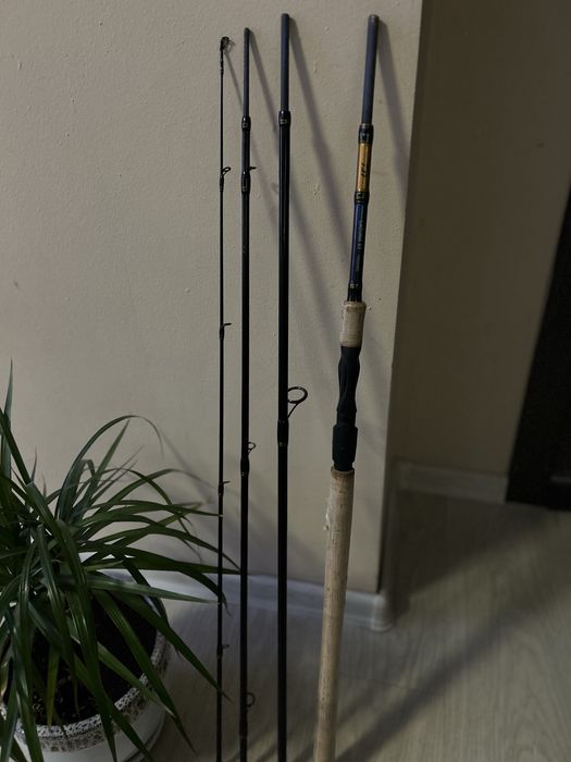 Daiwa Laguna 20-60 gr - 3m