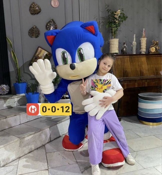 Аниматор Соник, поздравление, прокат