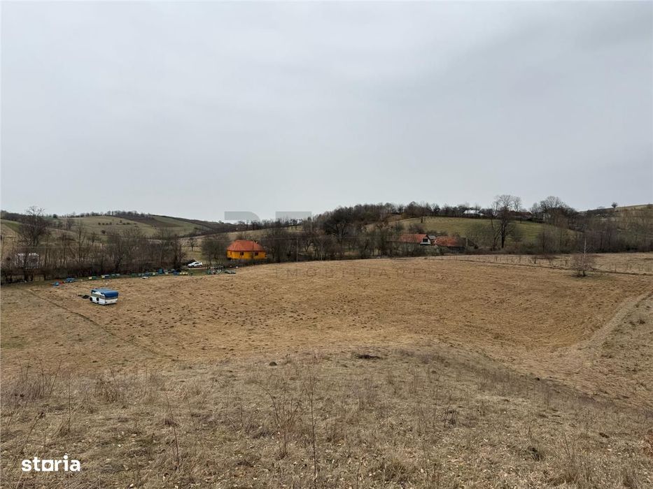 RECO , teren intravilan la 2,5 euro in Tomnatic, Vadu Crisului