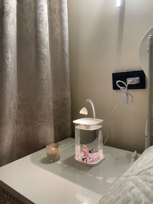 Аквариум   с рыбкой петушек .  + светильник