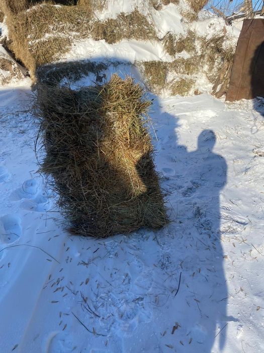 Продаются сена с доставкой