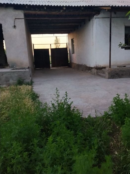 2xonali xovli ijarachi qoyamiz buni makler qoymagan! Bu uy ozimizniki.